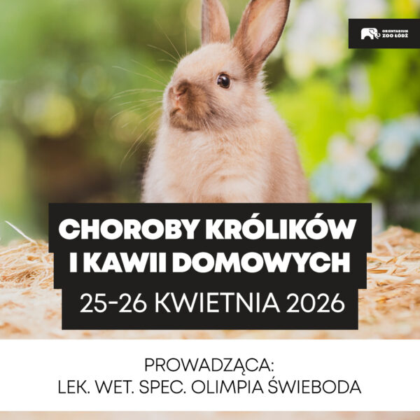 Warsztaty weterynaryjne „Choroby królików i kawii domowych”, 25-26 kwietnia 2026