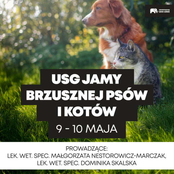 Warsztaty weterynaryjne „USG jamy brzusznej psów i kotów”, 9-10 maja