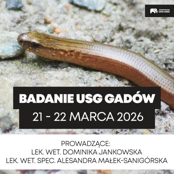 Warsztaty weterynaryjne „Badanie USG Gadów”, 21-22 marzec 2026