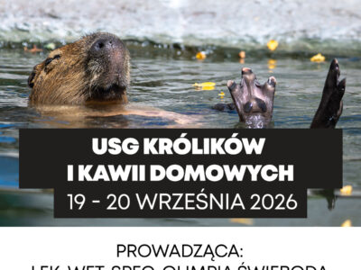 1200x1200 (3) (4) USG królików i kawii 19-20.09