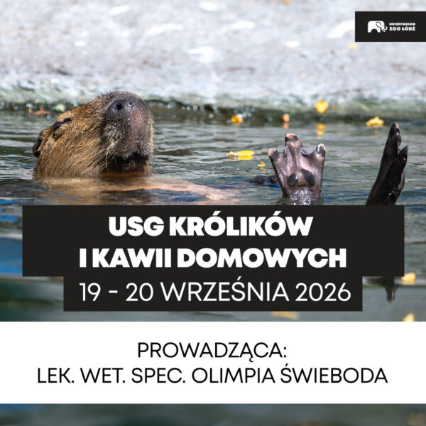 USG królików i kawii 19-20.09