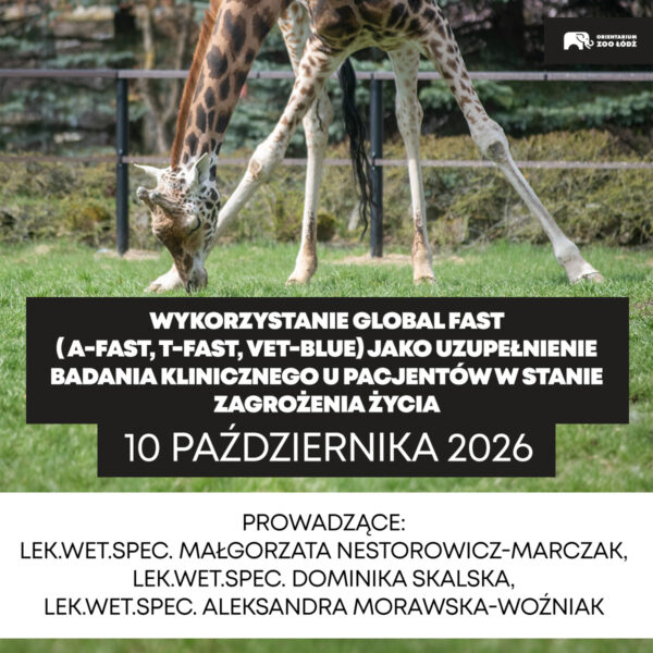 Wykorzystanie Global FAST ( A-FAST, T-FAST, Vet-blue) jako uzupełnienie badania klinicznego u pacjentów w stanie zagrożenia życia - 10.10