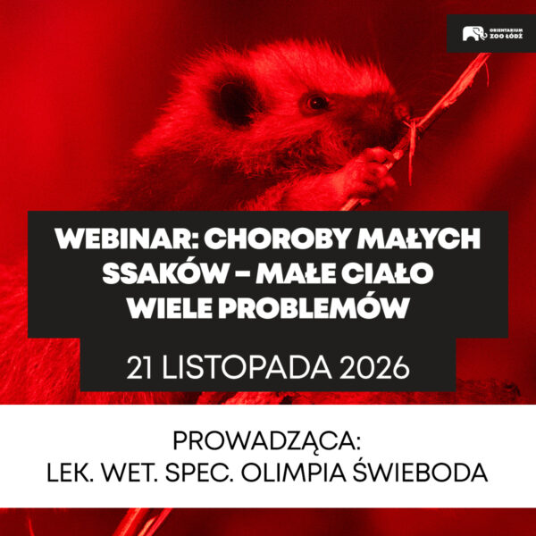 Webinar: Choroby małych ssaków - małe ciało wiele problemów - 21.11
