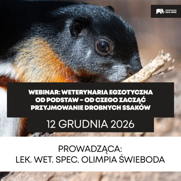 Webinar: Weterynaria egzotyczna od podstaw – od czego zacząć przyjmowanie drobnych ssaków - 12.12