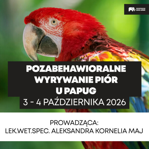 Pozabehawioralne wyrywanie piór u papug 03-04.10