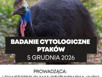 1200x1200_6 Badanie cytologiczne ptaków - 25.11