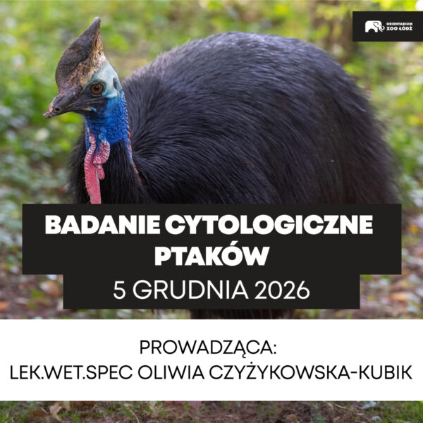 1200x1200_6 Badanie cytologiczne ptaków - 25.11