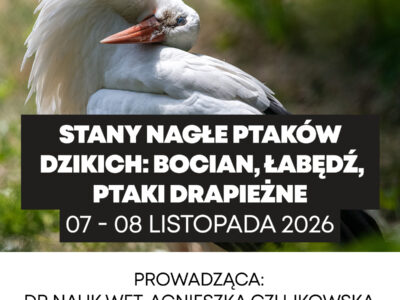 1200x1200_7 Stany nagłe ptaków dzikich: bocian, łabędź, ptaki drapieżne - 07-08.11