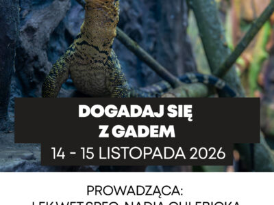 1200x1200_8 doGADaj się z gadem 14-15.11
