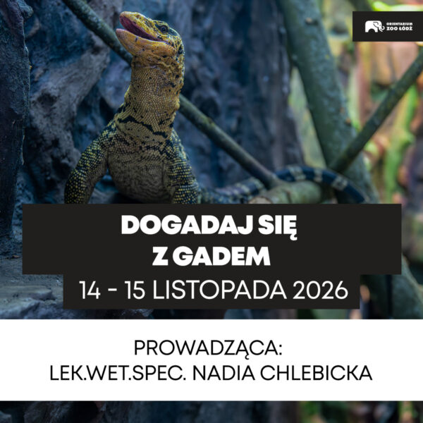 doGADaj się z gadem 14-15.11