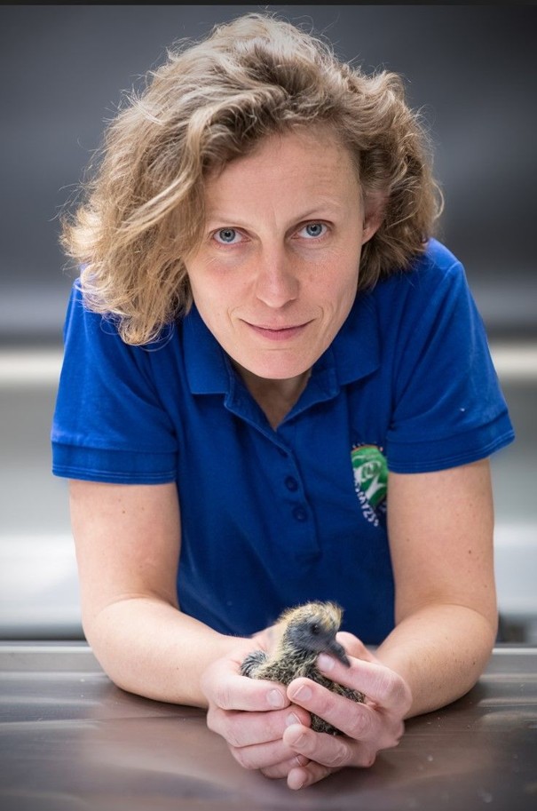 Dr n. wet. Agnieszka Czujkowska