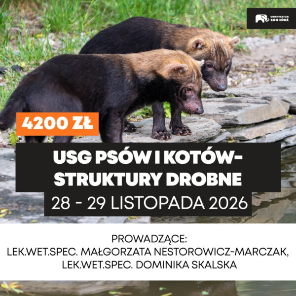 4 ostatnie miejsca (8) (1) USG psów i kotów - struktury drobne - 28-29.11