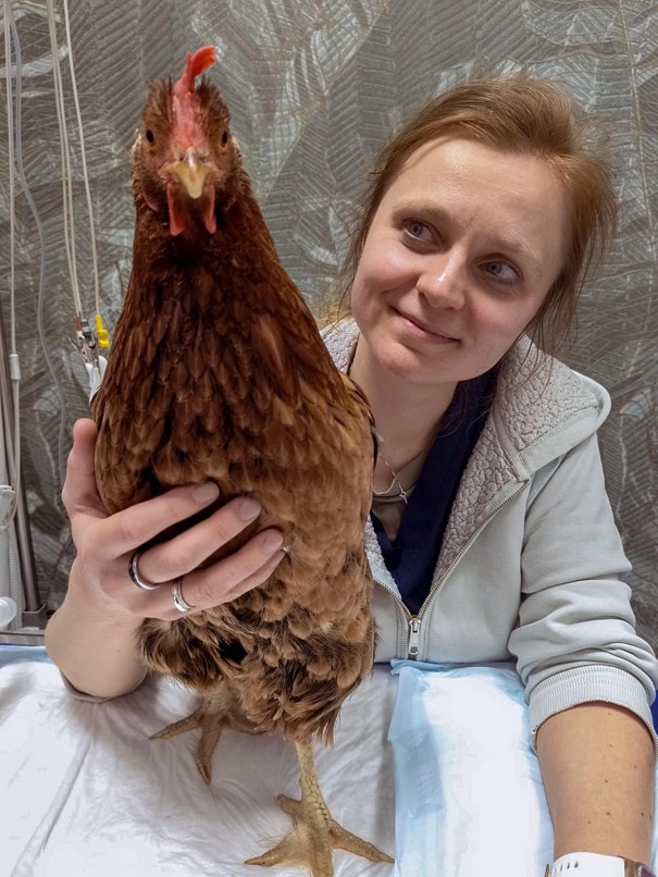 Dr n. wet. Marta Gałązka